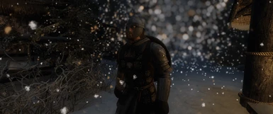 Winterhold patrol in snow