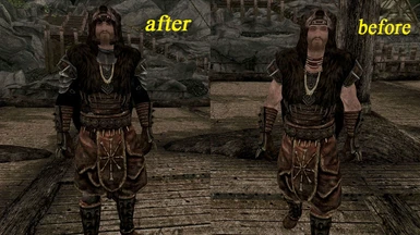 Stormcloak Officer Replace