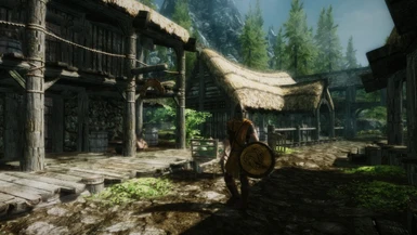 VR-ENB - Skyrim Vibrant and Realistic - with SSAO and DOF 