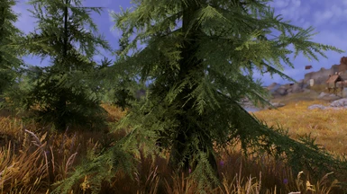 Pine Branches Redone at Skyrim Special Edition Nexus - Mods and
