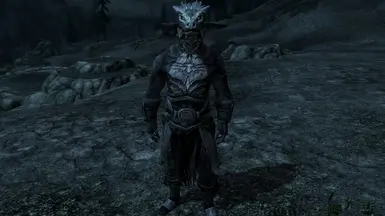 1_3 Type A Argonian