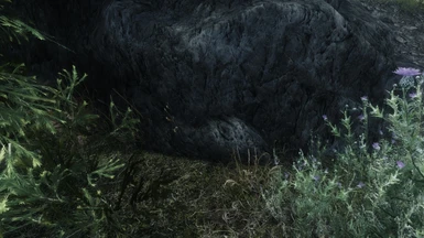 tundra grass in falkreath hold??77 (this is near Guardian Stones)