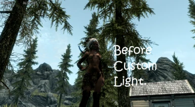 Before Custom Light