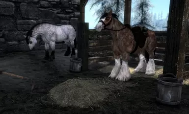 Windhelm Stables