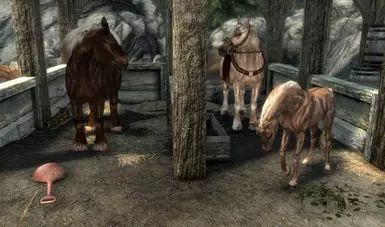 Solitude Stables