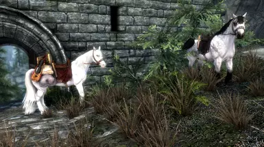 Bard's Horses