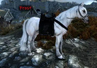 Frost