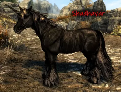 Dark Unicorn