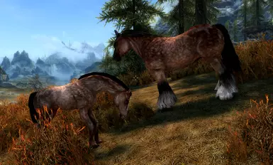 Whiterun Foal