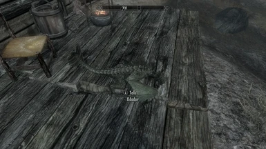 Pet dragon at A Shack by the springs