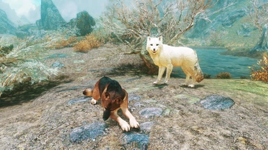 Vokun with Lola wolf companion, Tetrachromatic ENB and Better foxes model replacer