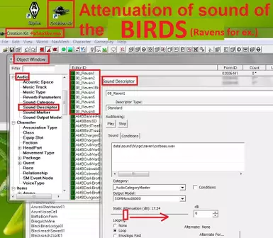 Attenuation of the sounds of the the Flying Birds