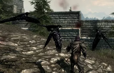 New Raven