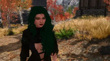 my pic´s from SSE