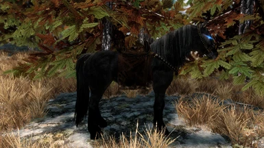 Better Shadowmere - Shadowmere Mesh Replacer (Blue Glowing Eyes - Swift Steeds)