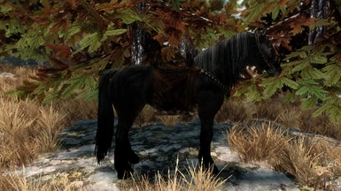 Better Shadowmere - Shadowmere Mesh Replacer (Without Glowing Eyes - Swift Steeds)