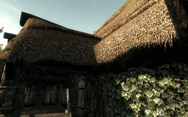 wip new thatched roof2