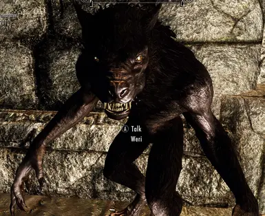 Weri Standalone female Werewolf Follower at Skyrim Nexus - mods and ...