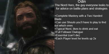 Odin Stats