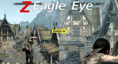 Z Eagle Eye