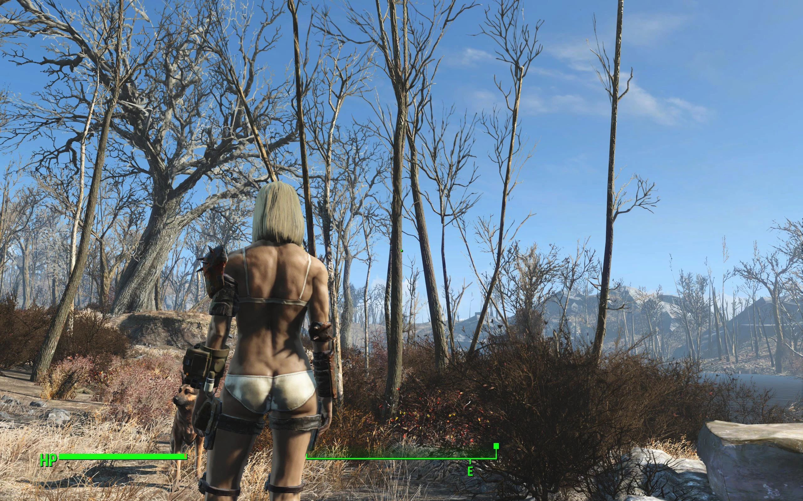 Fallout 4 женские тела 8к фото 84
