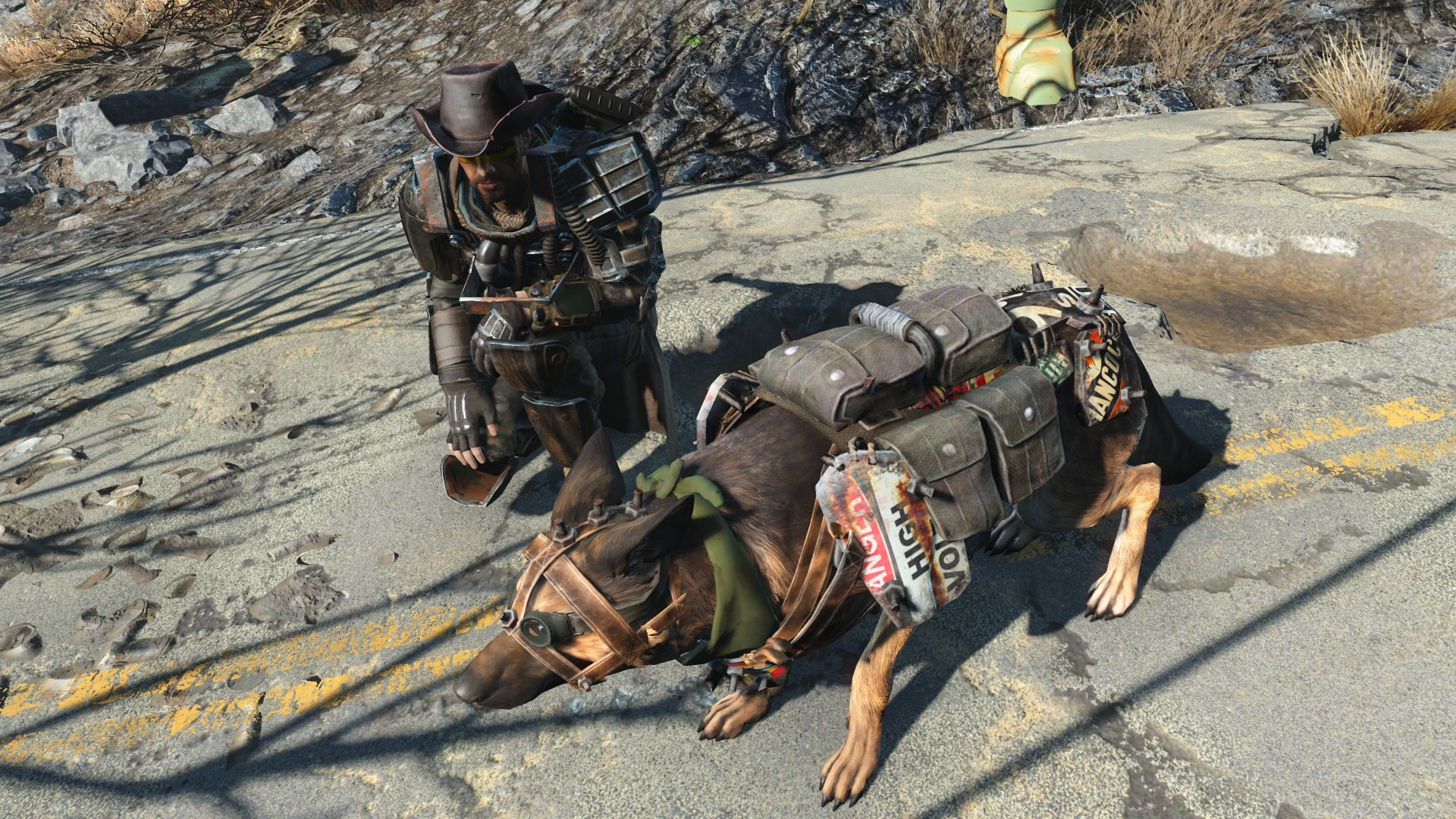Fallout 4 все для собаки фото 57