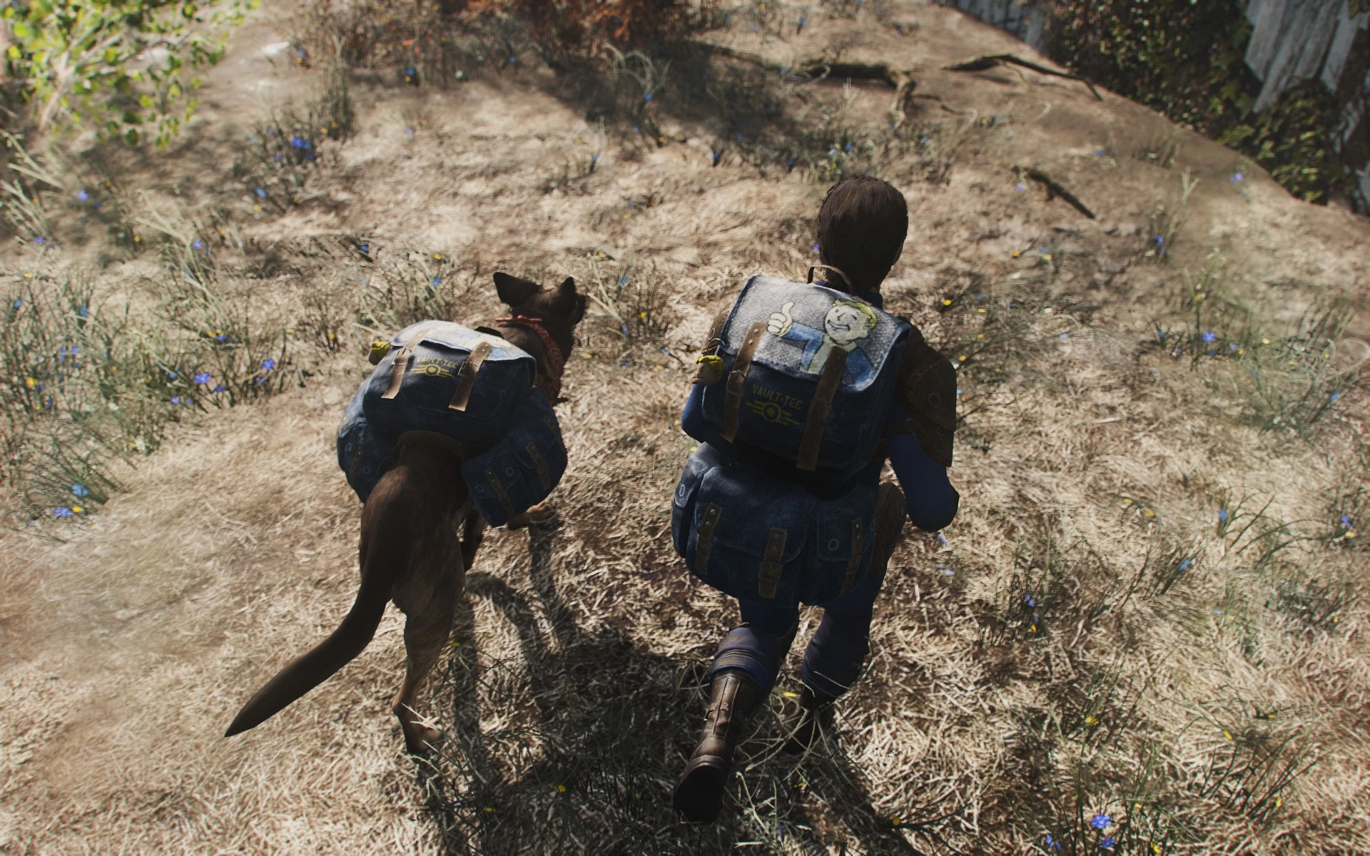 Backpack fallout 4 backpacks of the commonwealth фото 87