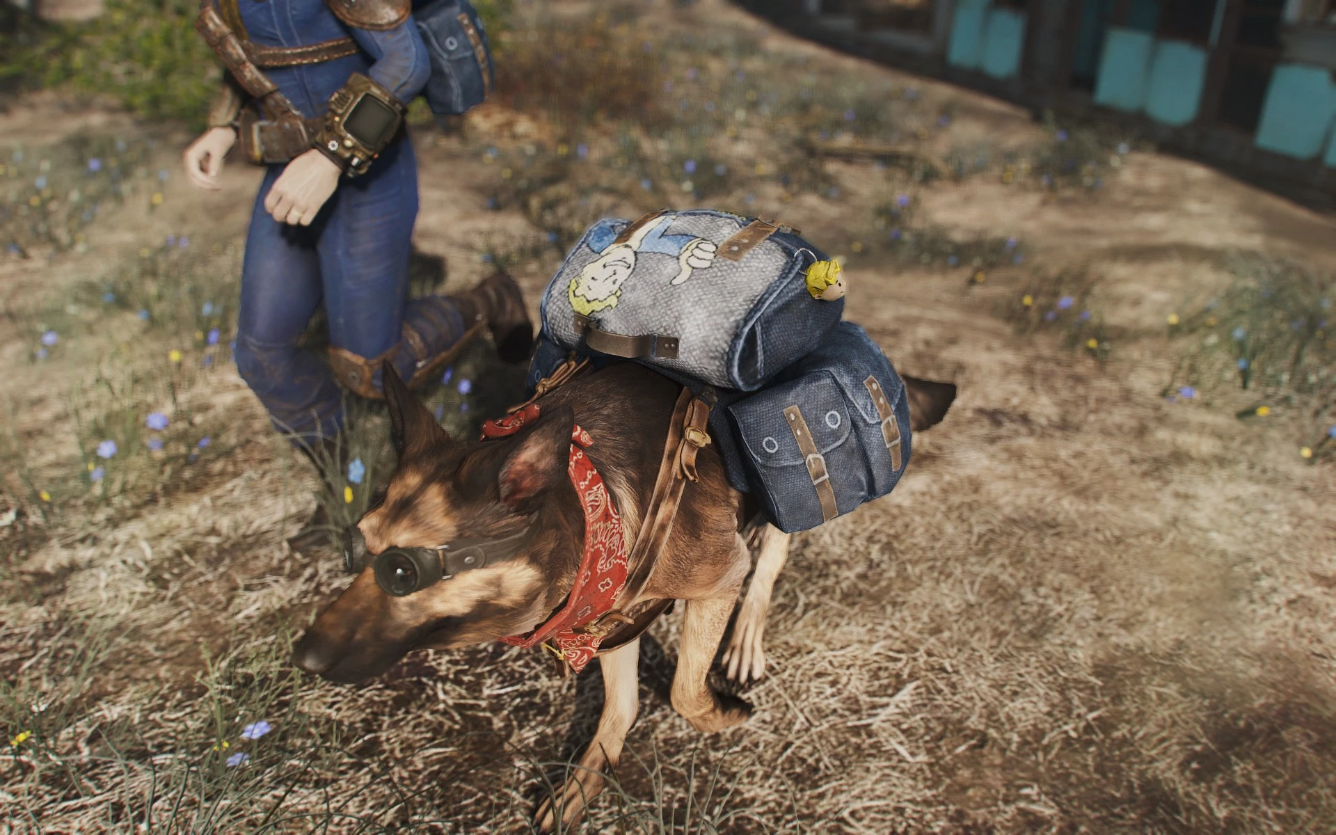 как fallout 4 позвать собаку в fallout 4 фото 84
