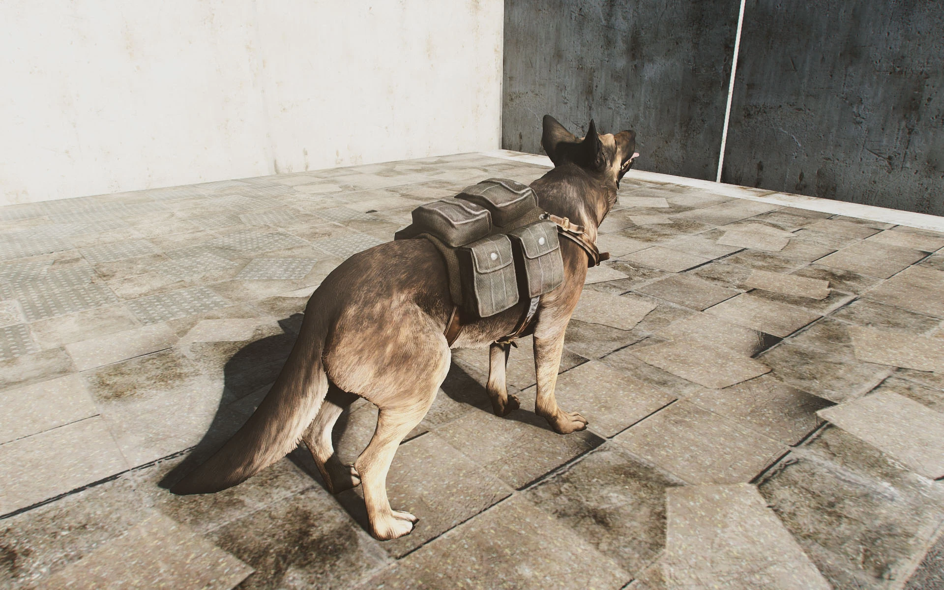 Fallout 4 бессмертие собаки фото 31