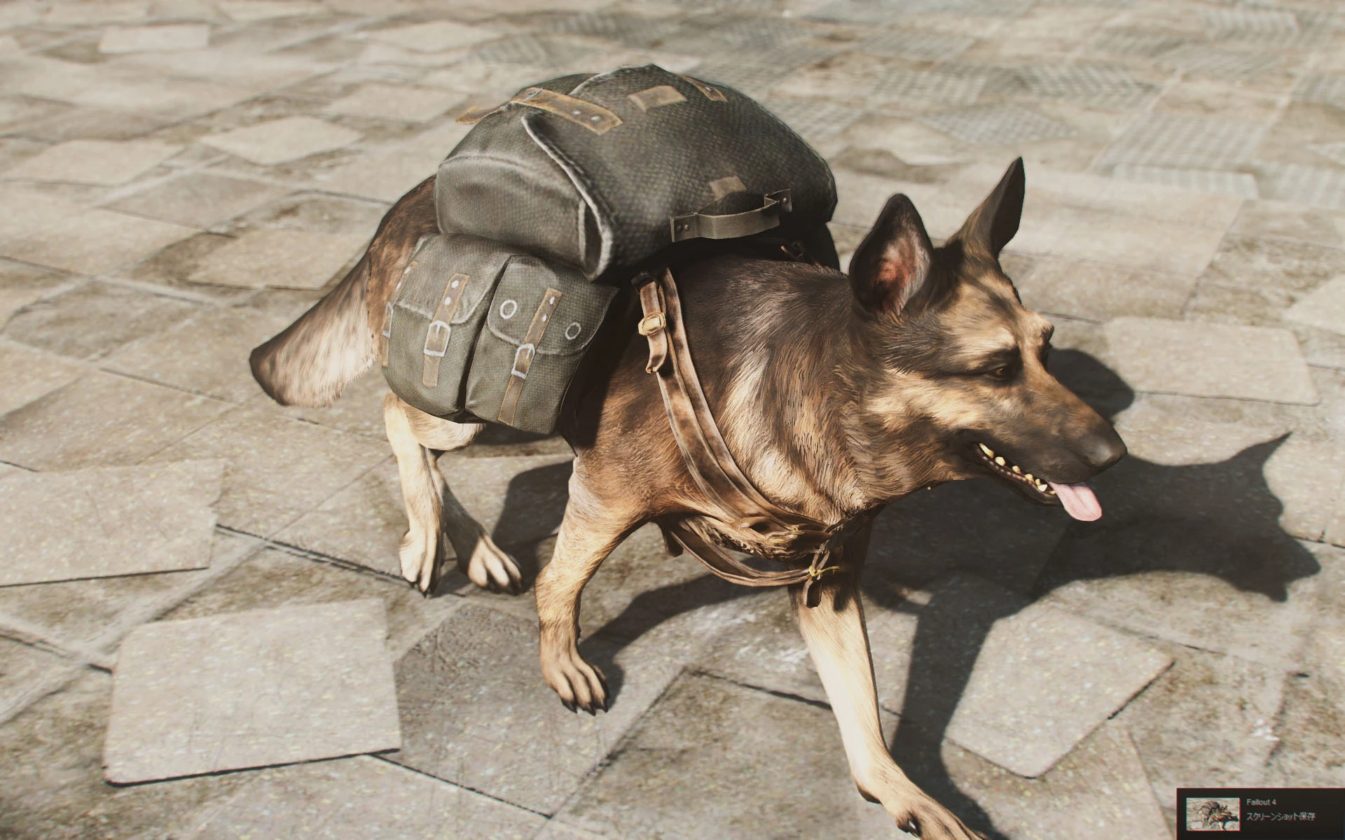 Fallout 4 взять собаку фото 92