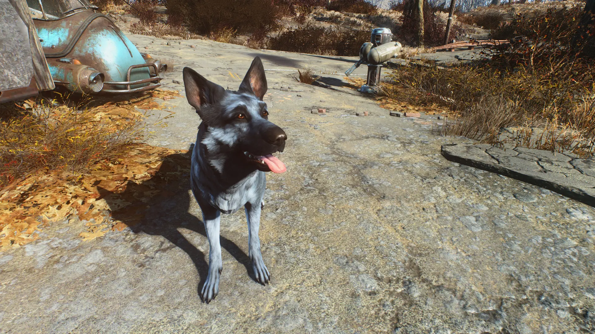 Wolfmeat - Dogmeat Retexture at Fallout 4 Nexus - Mods and community