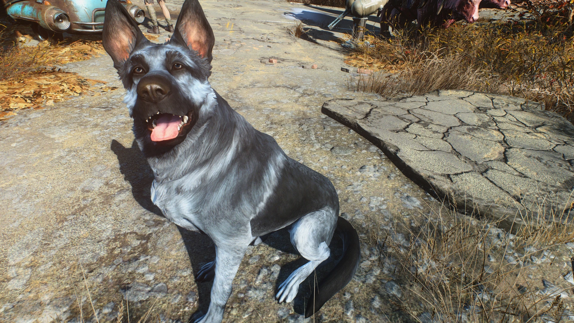 Wolfmeat - Dogmeat Retexture at Fallout 4 Nexus - Mods and community
