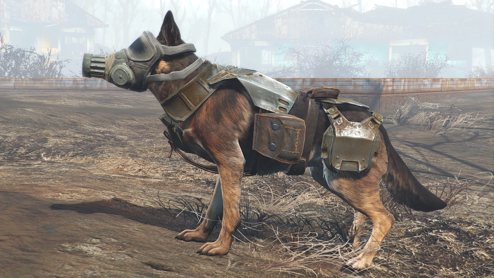 как найти своего пса в fallout 4 фото 74