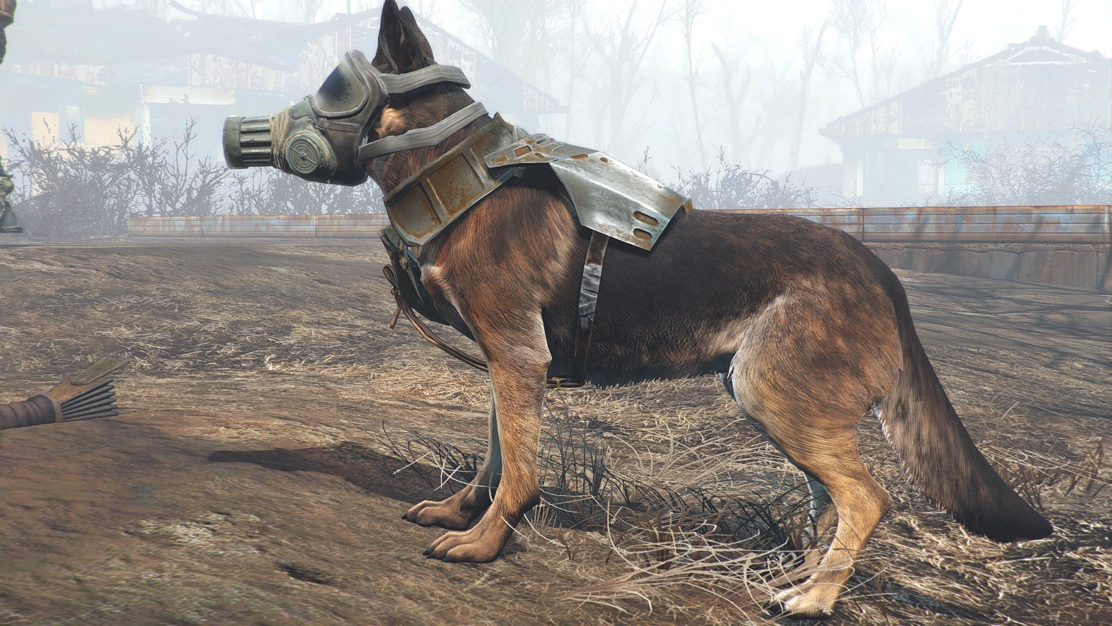 Fallout 4 волк компаньон фото 72