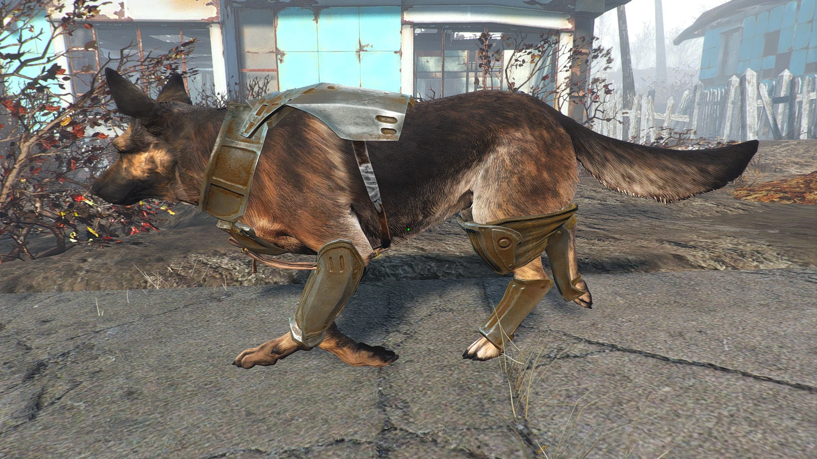 Fallout 4 замена собаки фото 60