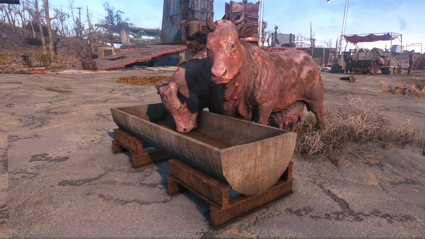Fallout 4 назначить брамина (117) фото
