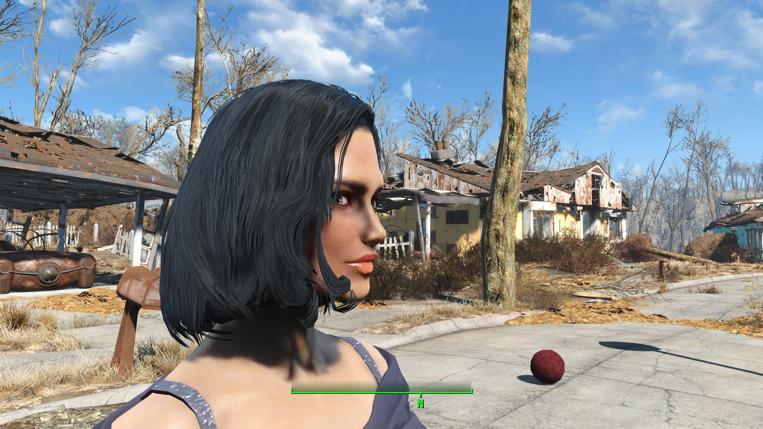 Anna at Fallout 4 Nexus - Mods and community