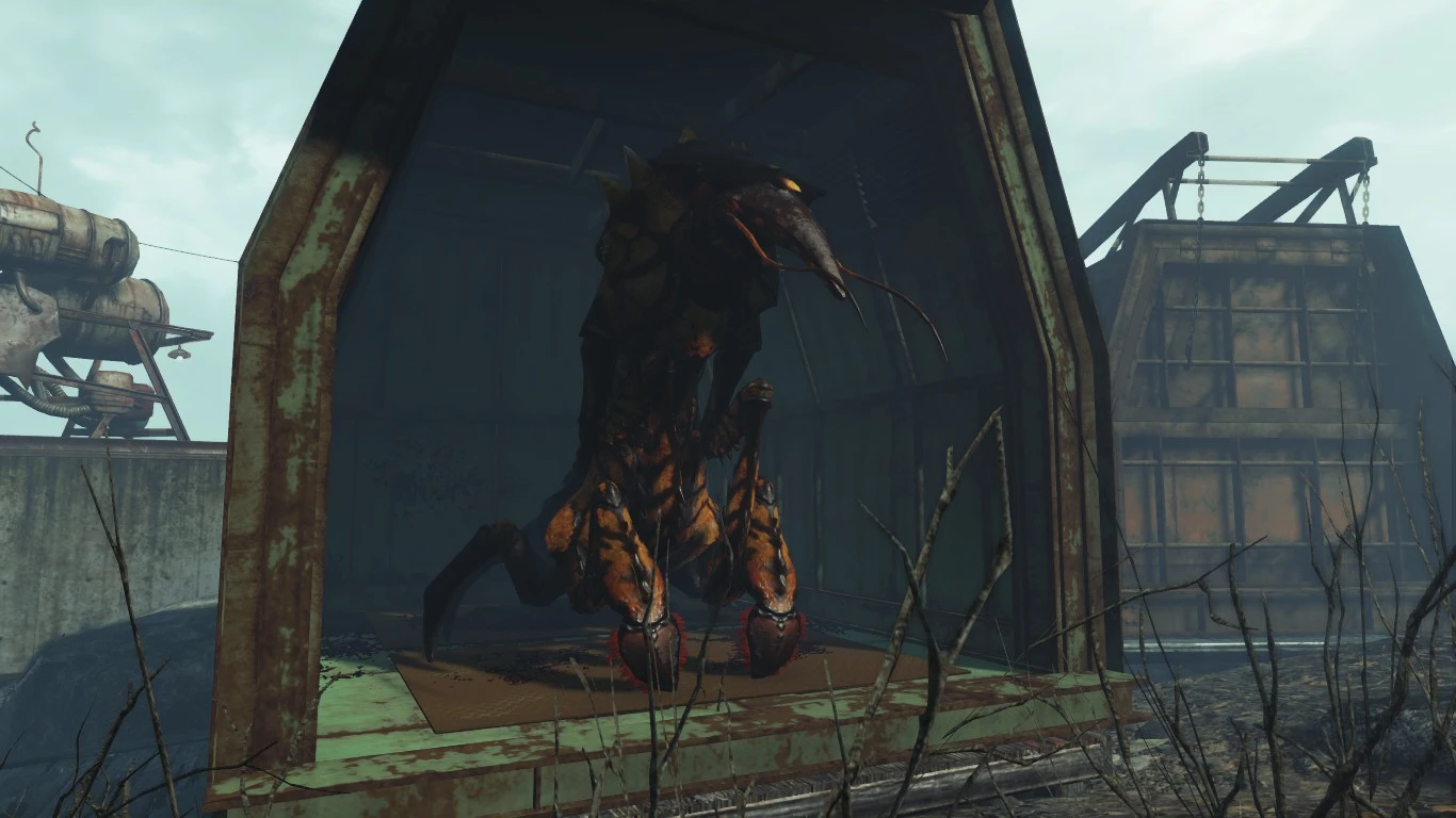 All creatures in fallout 4 фото 7