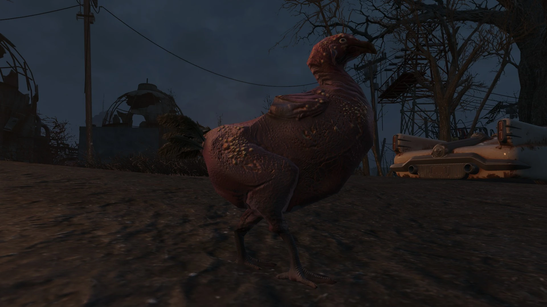 Fallout 4 commonwealth chickens and rabbits (120) фото