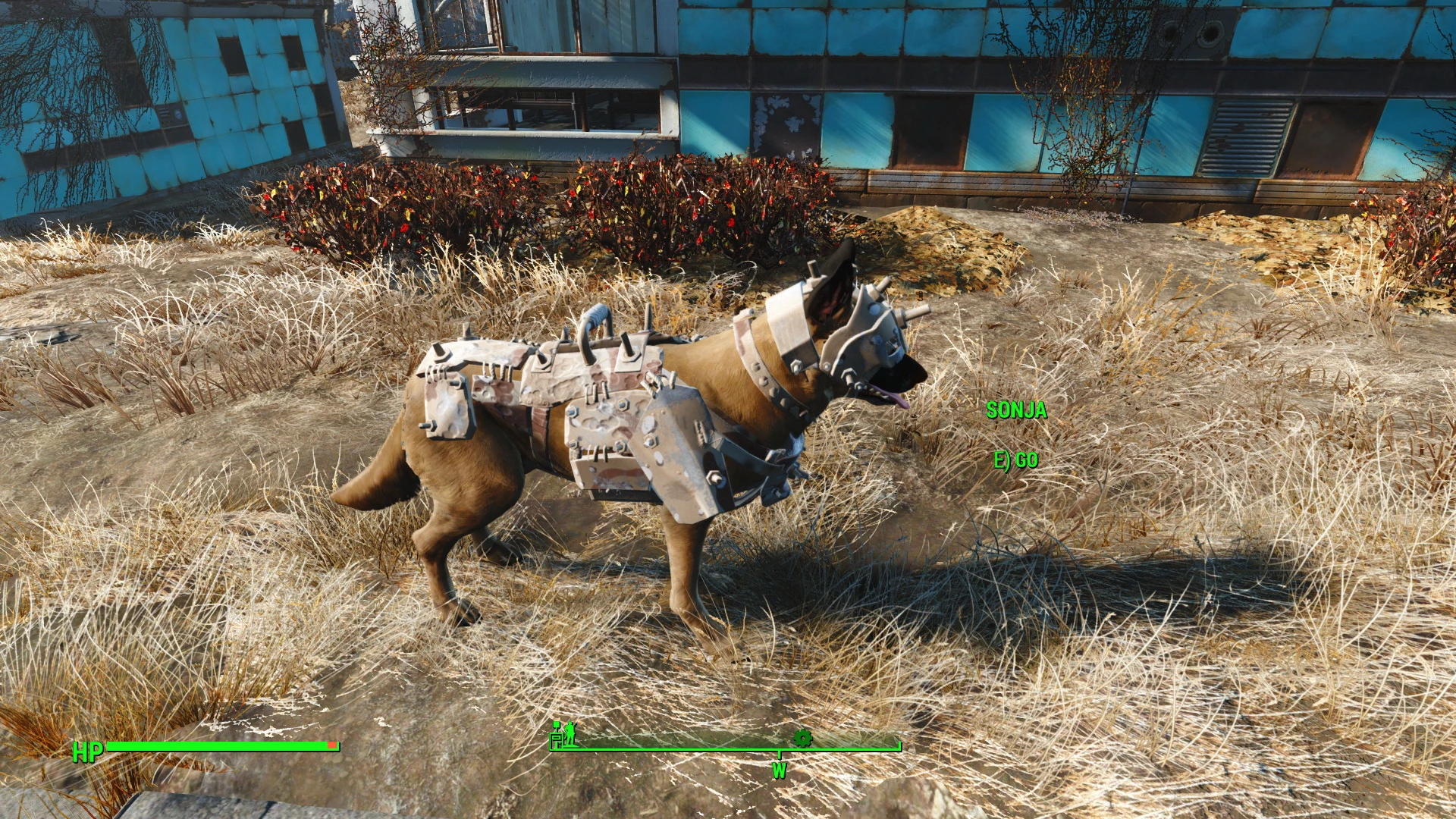 Fallout 4 собака нашла что то фото 48