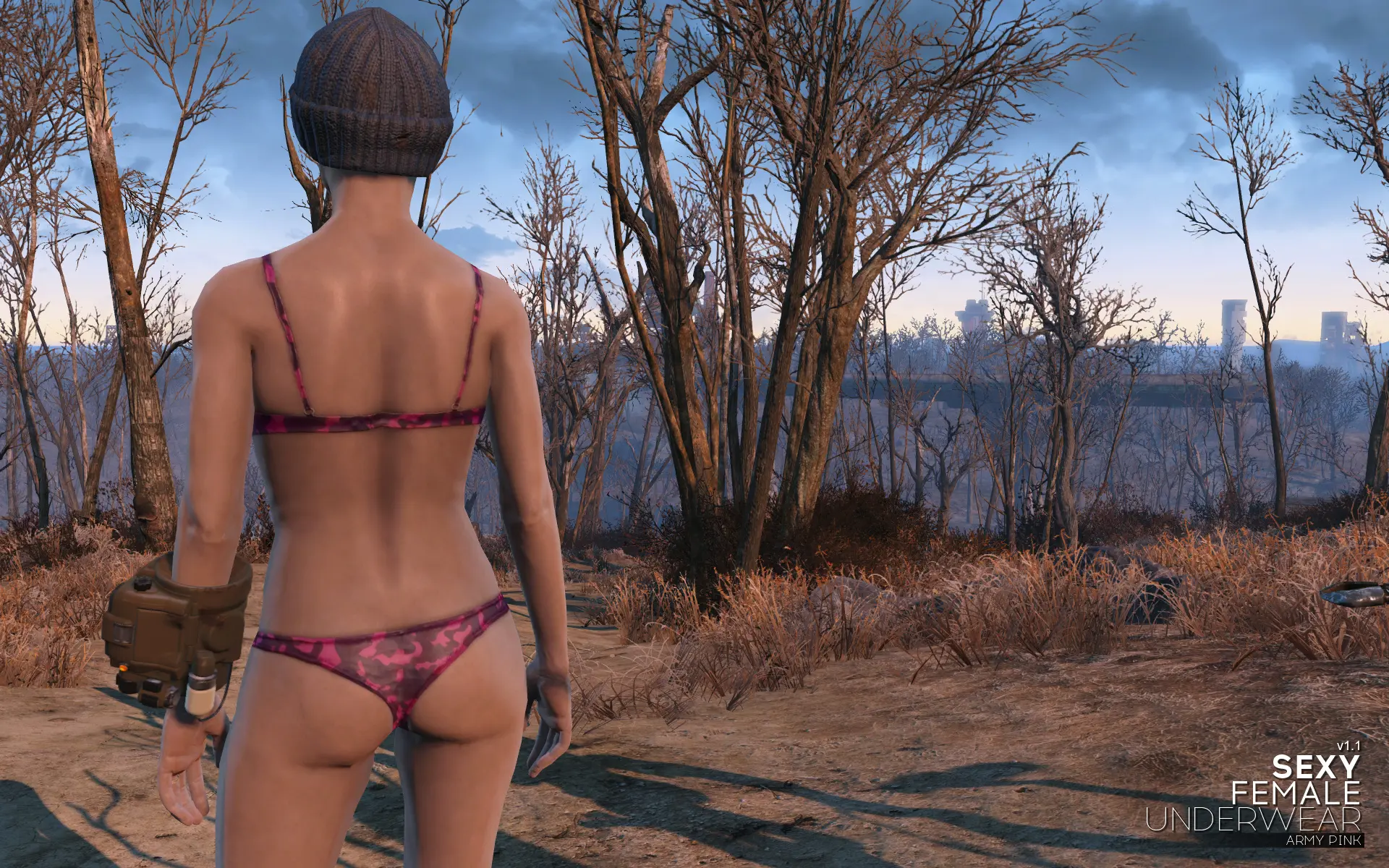 Female underwear fallout 4 фото 25