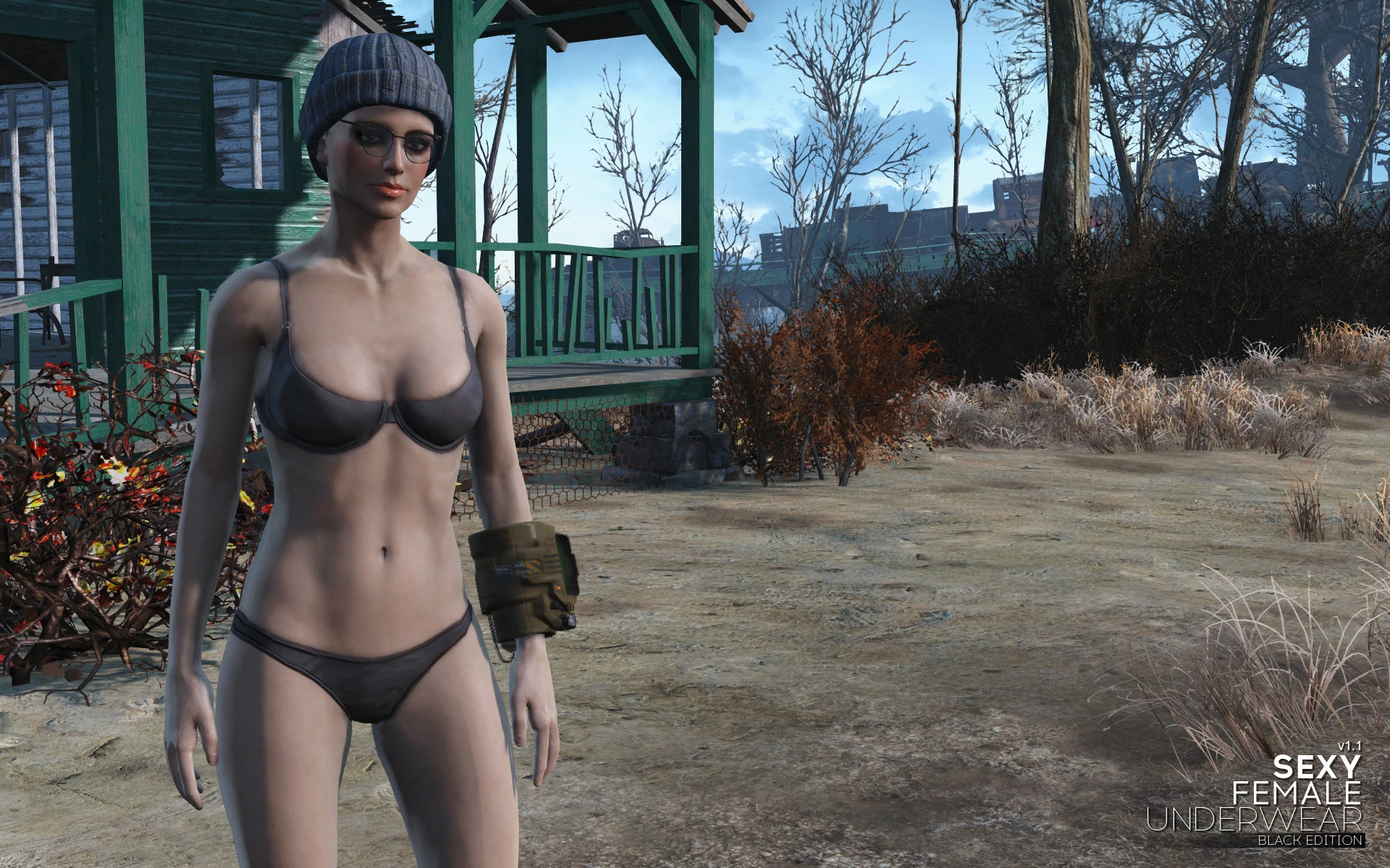 fallout 4 nude female mod