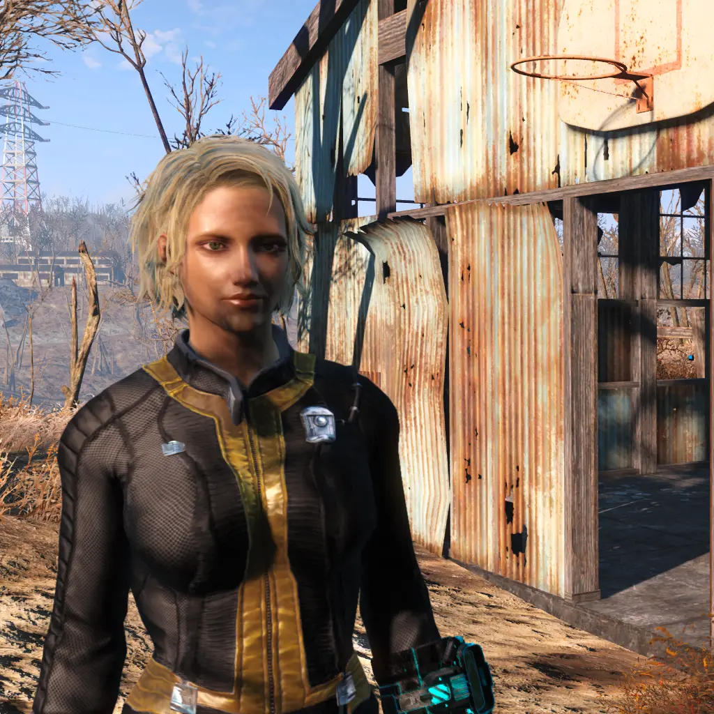 Vault 111 suit at Fallout 4 Nexus - Mods and community