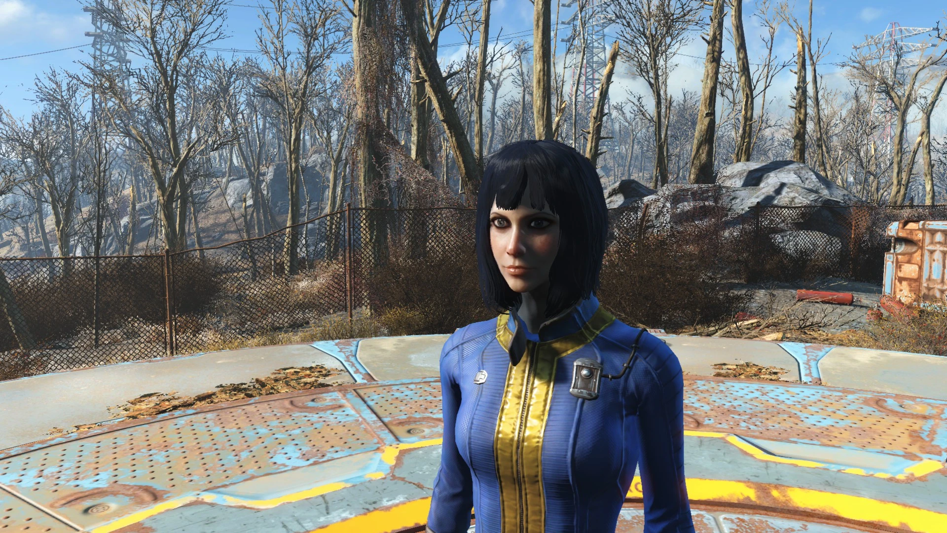 Fallout 4 vault meat preset фото 36