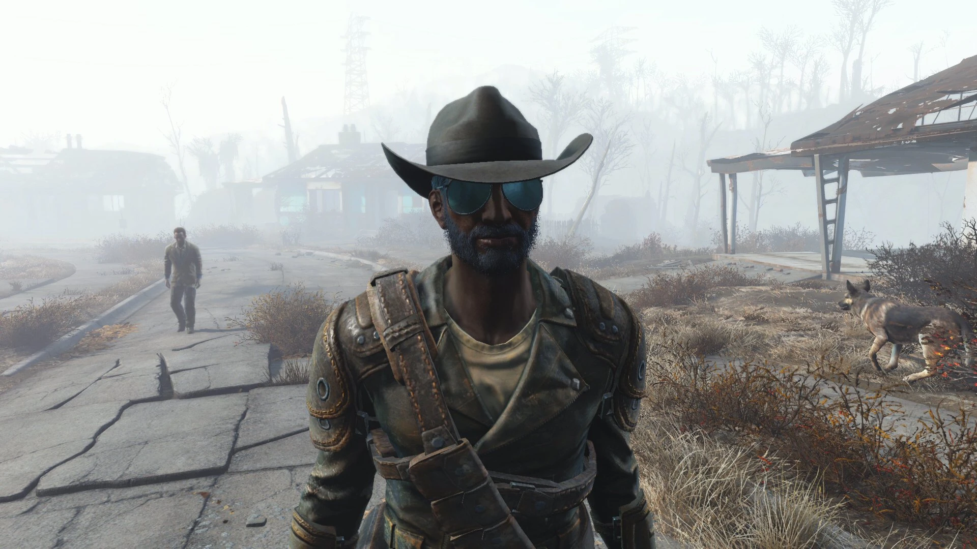 Fallout 4 все очки фото 86