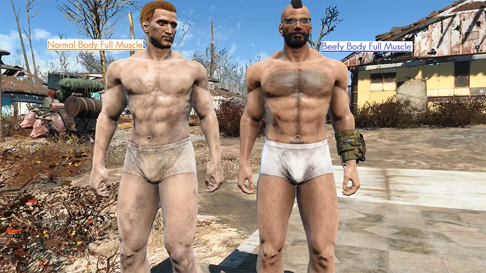 fallout 4 male cbbe