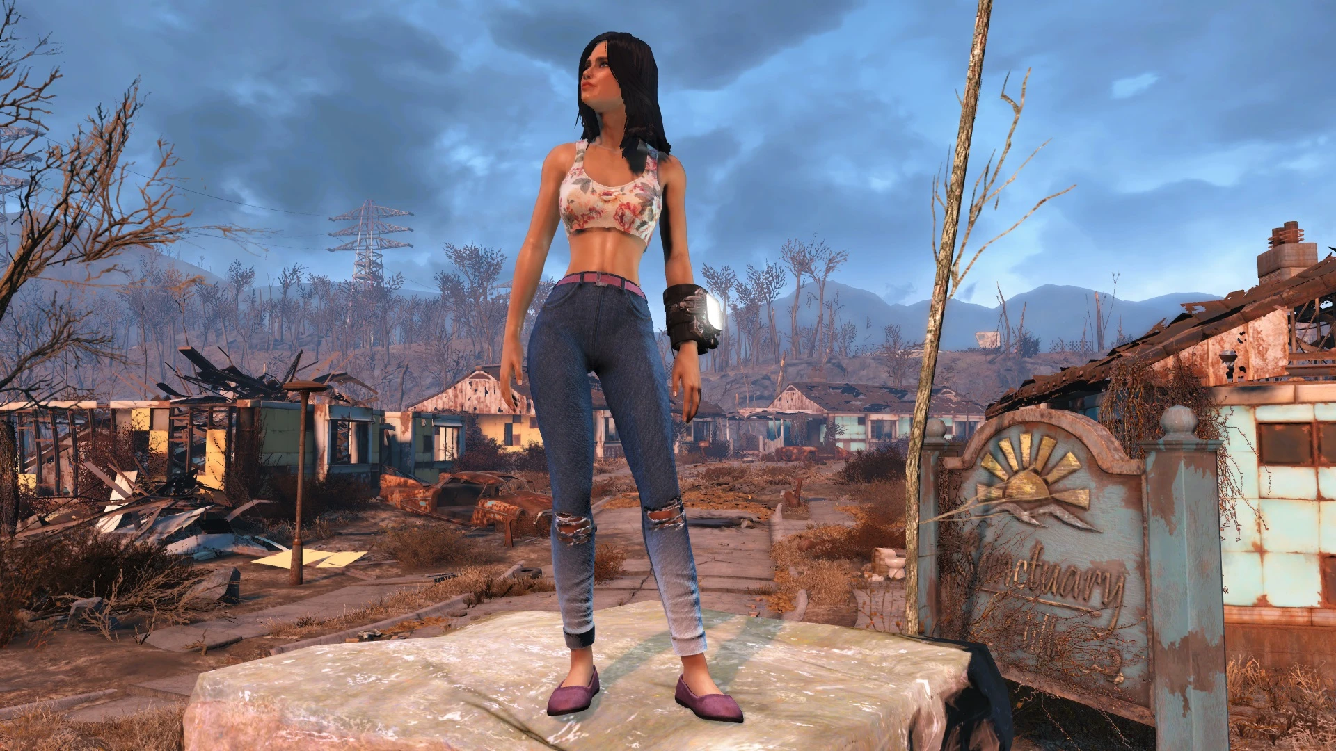 Wasteland pack fallout 4 фото 90