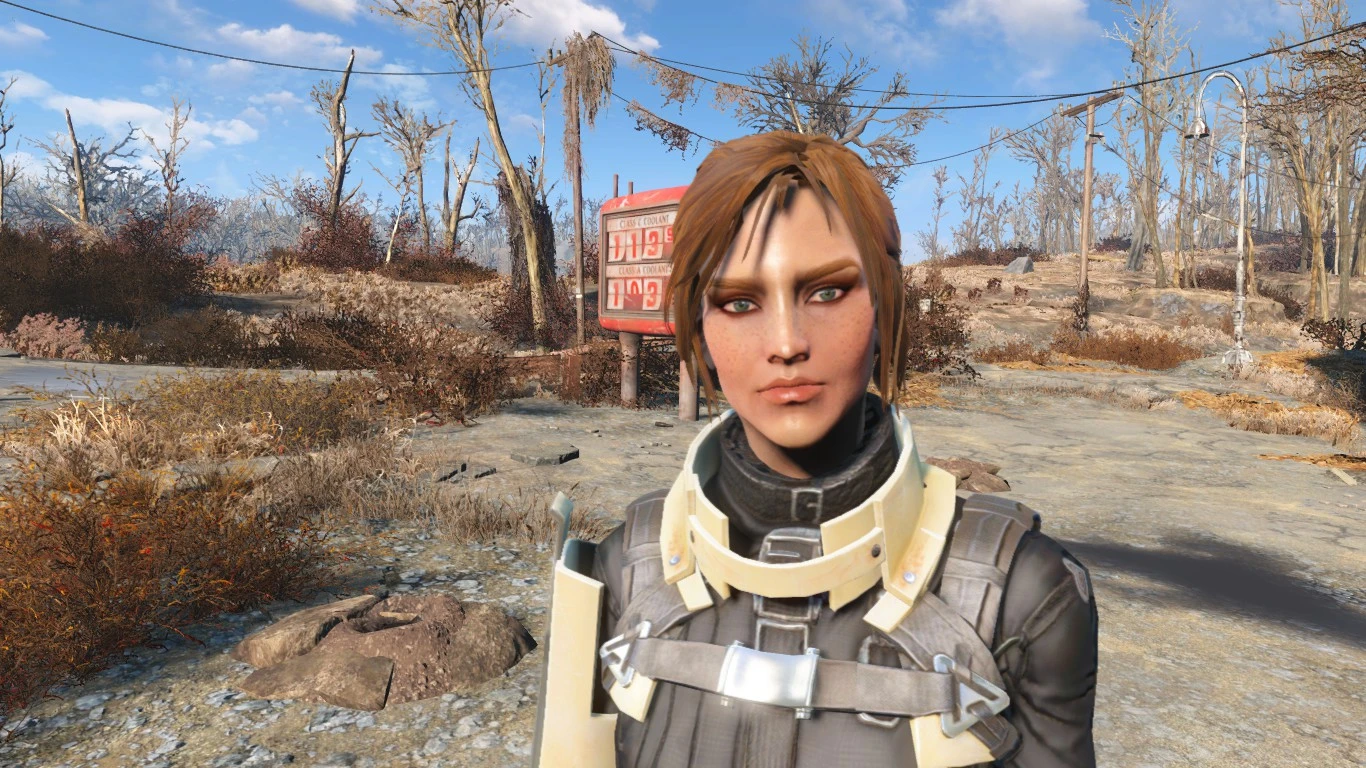 Fallout 4 красивые женские лица нпс фото 90