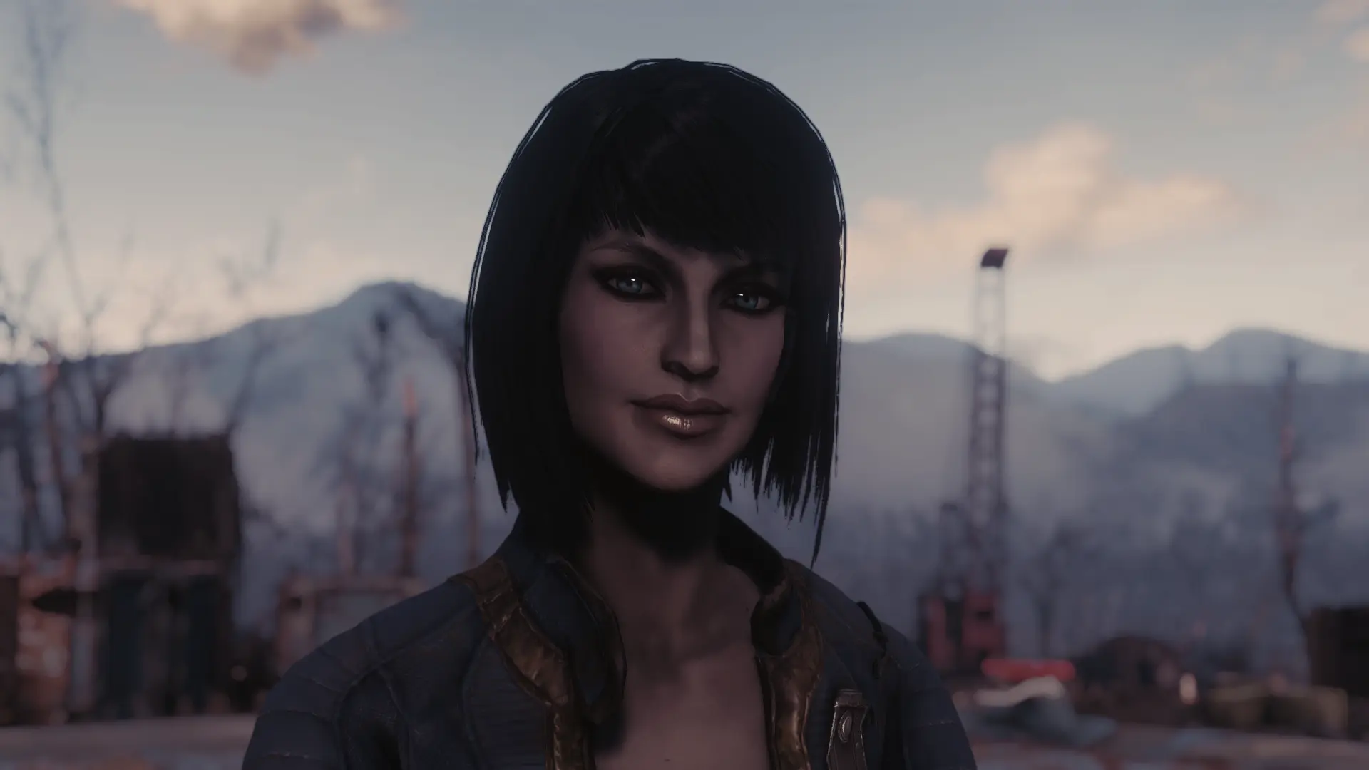 Vault Meat Facepreset At Fallout 4 Nexus Mods And Community