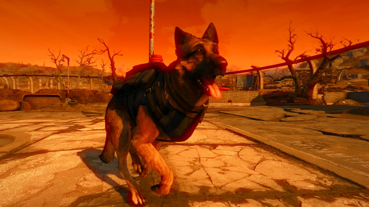 k9 harness fallout 4